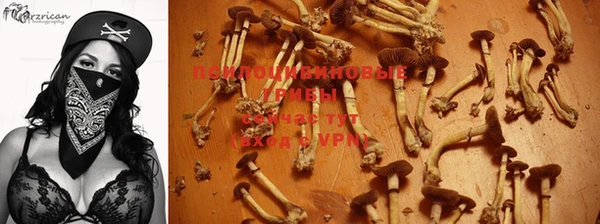 трава Алексин