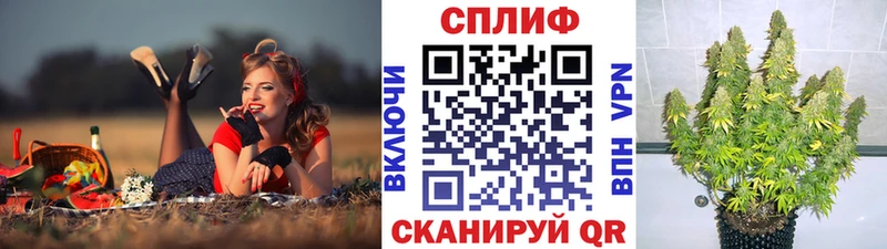 наркотики  Злынка  Конопля SATIVA & INDICA 